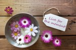 Silver Bowl With Label With Life Quote Live For The Moment With Purple And White Cosmea Blossoms On Wooden Background Vintage Retro Or Rustic Style