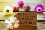Brown Label With Sunny Yellow Effect With Life Quote Its The Little Things That Make Life Big With Purple And White Cosmea Blossoms On Wooden Background Vintage Retro Or Rustic Style