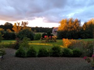 View into the garden from the entrance area