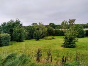 View from the Sound Healing Room