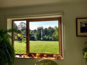 View from the treatment room